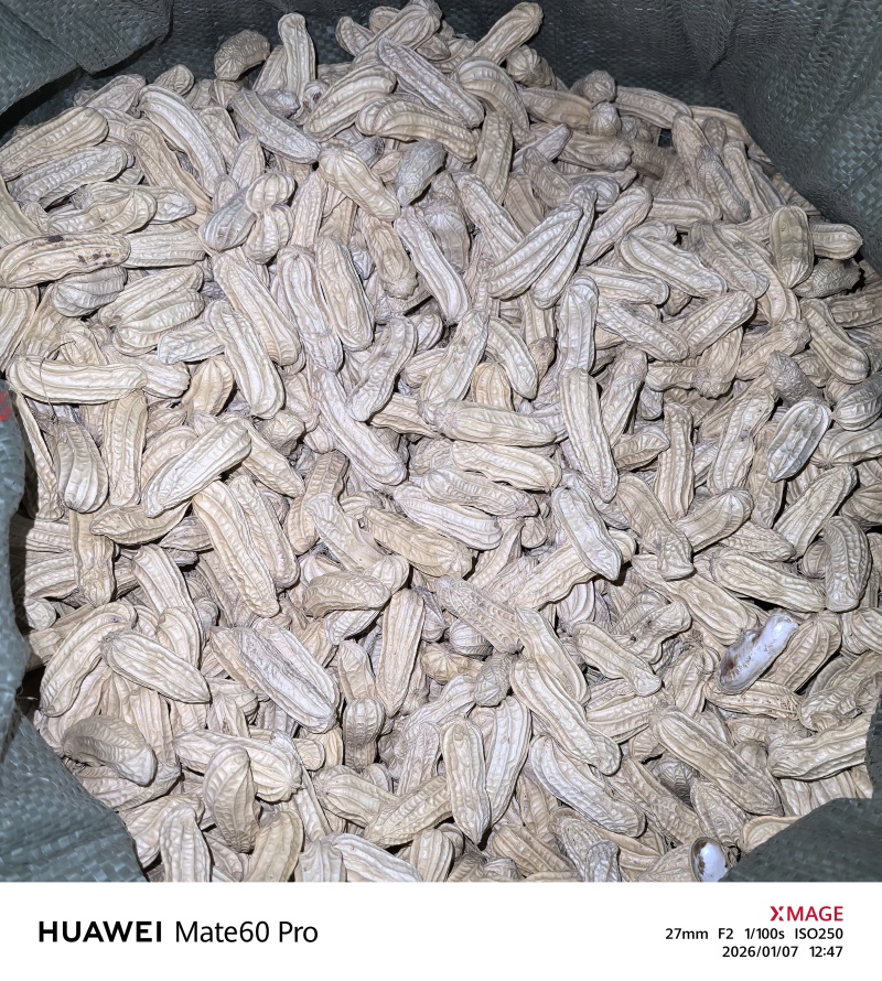 西双版纳精品古黑花生一手货源全国发货量大价优欢迎随时联系