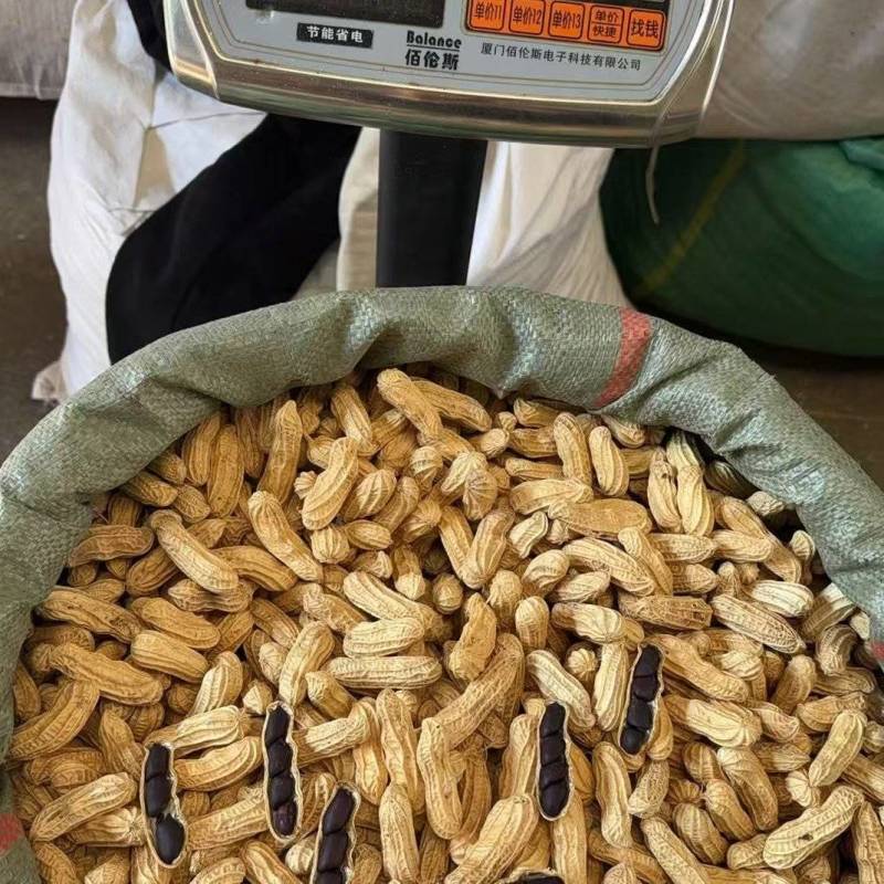 西双版纳精品古黑花生一手货源全国发货量大价优欢迎随时联系