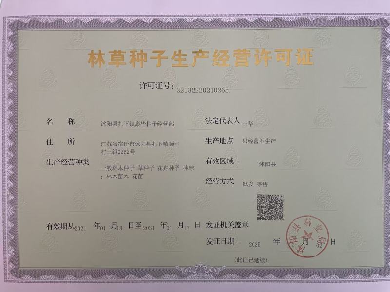60种野花组合四季开花太阳花百日草满天星格桑花等混搭七彩