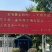 专养鹧鸪36年自养自销质量与信誉可同行业中了解