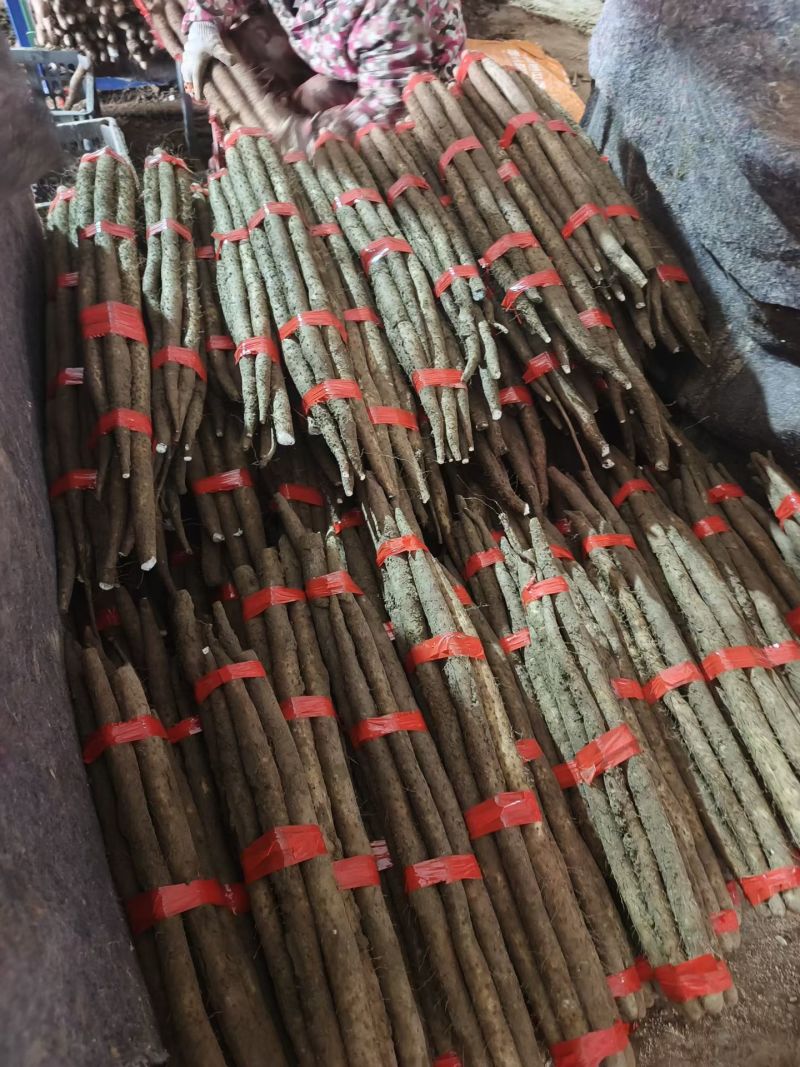 山药电商山药双棒山药铁棍山药山东山药