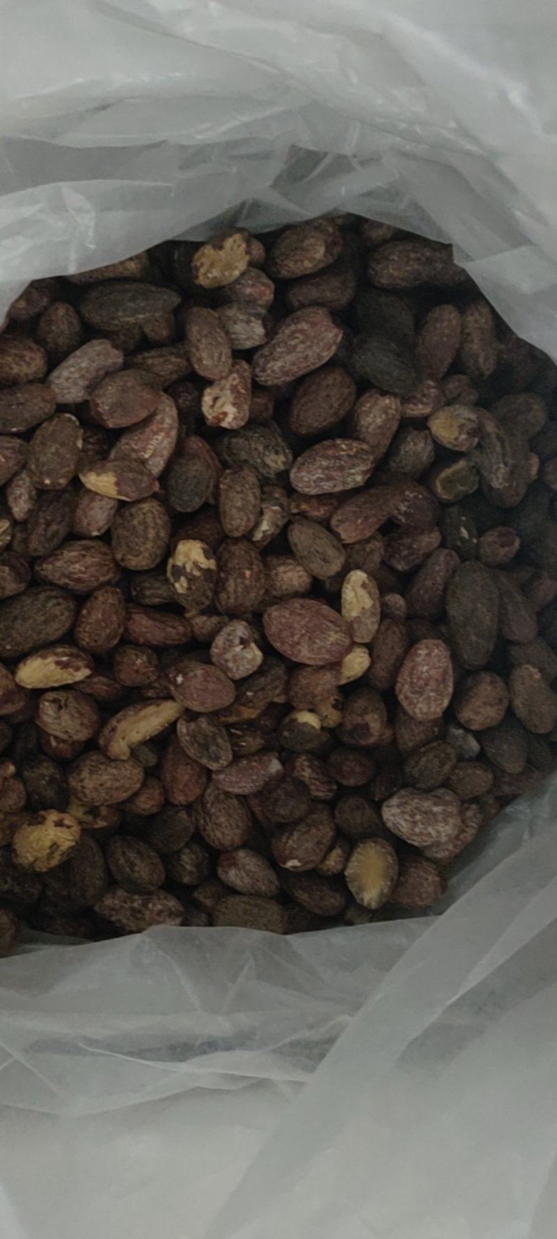 中药材冷背药材榧子仁，实物拍摄货真价实，批发零售量大从优