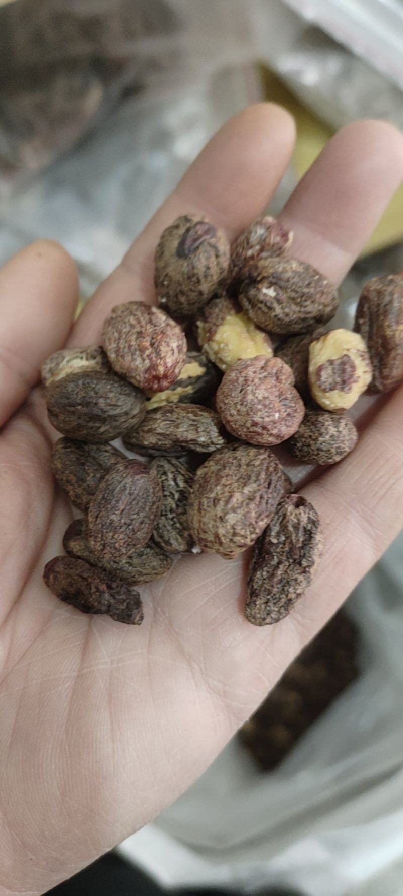 中药材冷背药材榧子仁，实物拍摄货真价实，批发零售量大从优