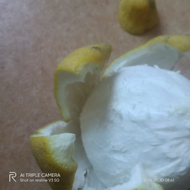梅州梅县高山黄土沙田柚，纯甜，糖度15左右，皮薄肉厚多汁