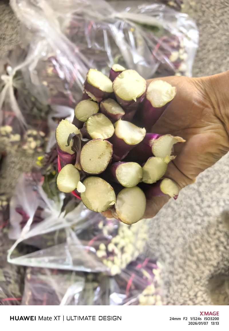 湖北红菜苔