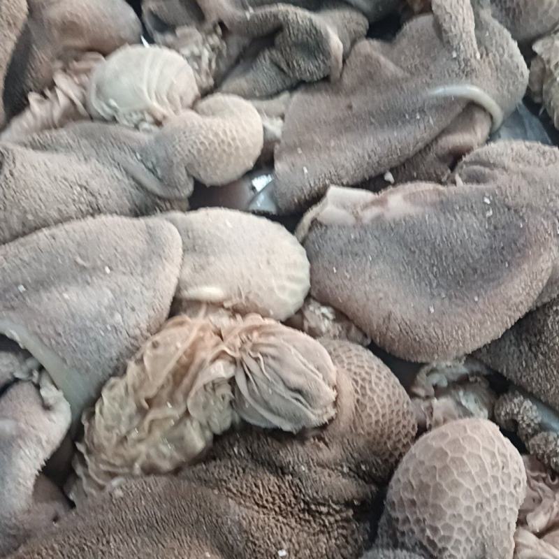 【熟食羊肚】