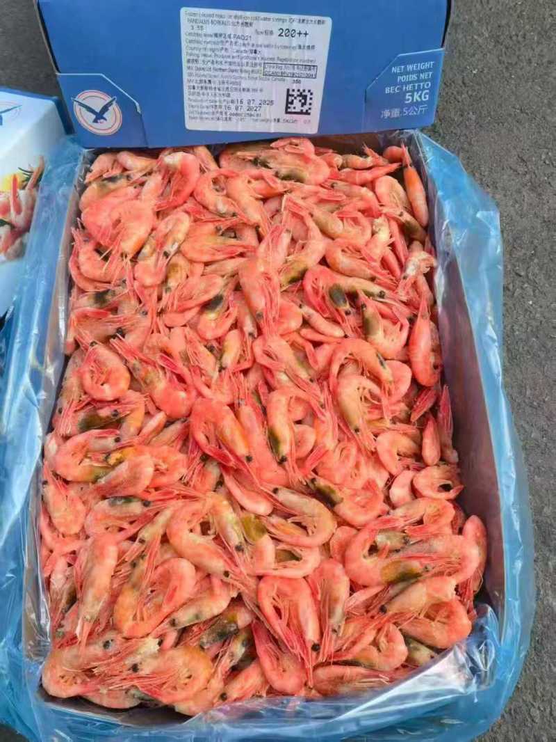 甜虾
