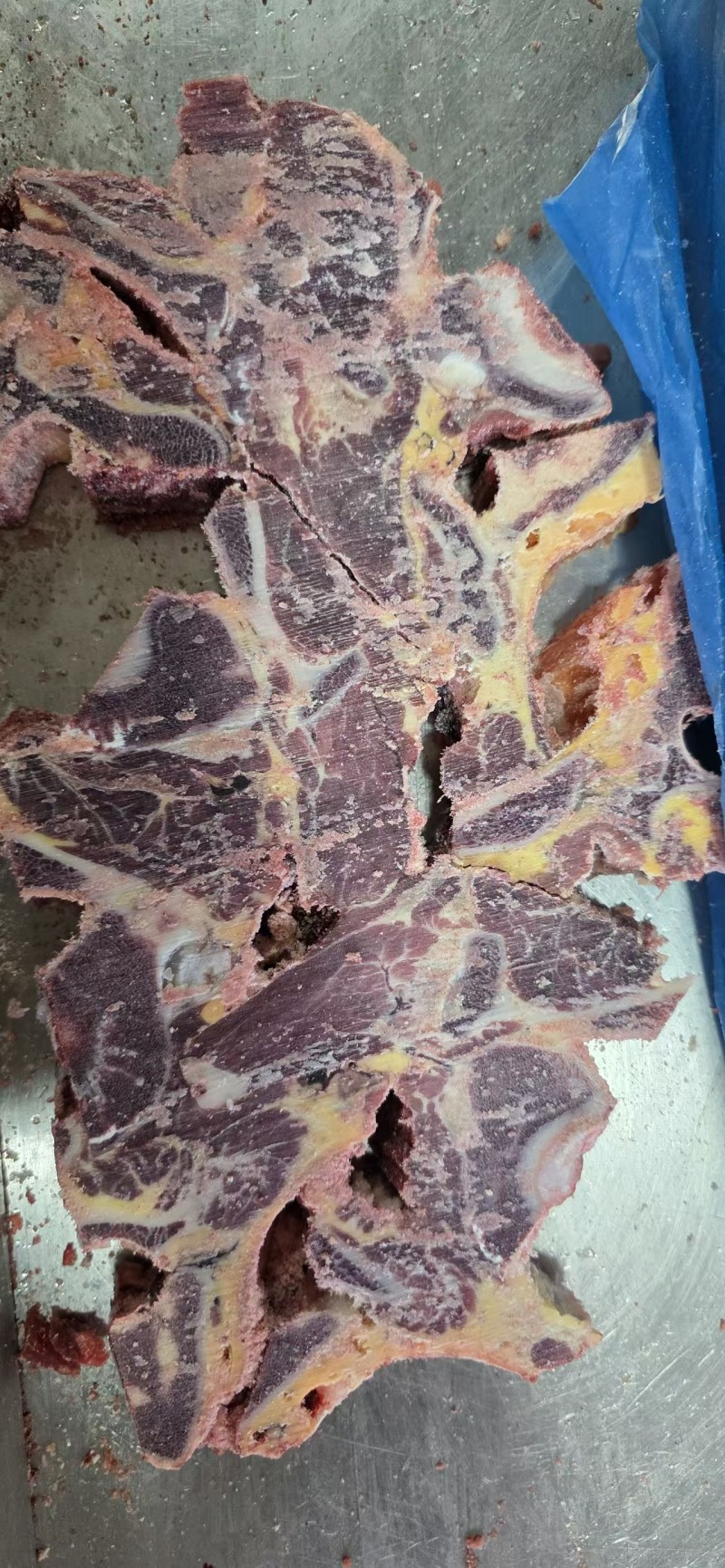 牛脊骨