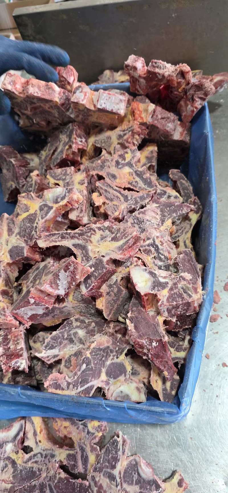 牛脊骨