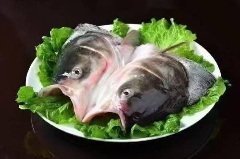 液氮速冻鲢鱼头