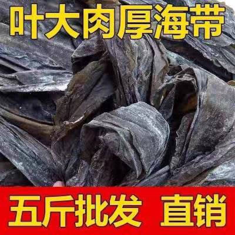 包邮）海带干货5斤干海带新鲜煲汤火锅食材凉拌福建特产营养