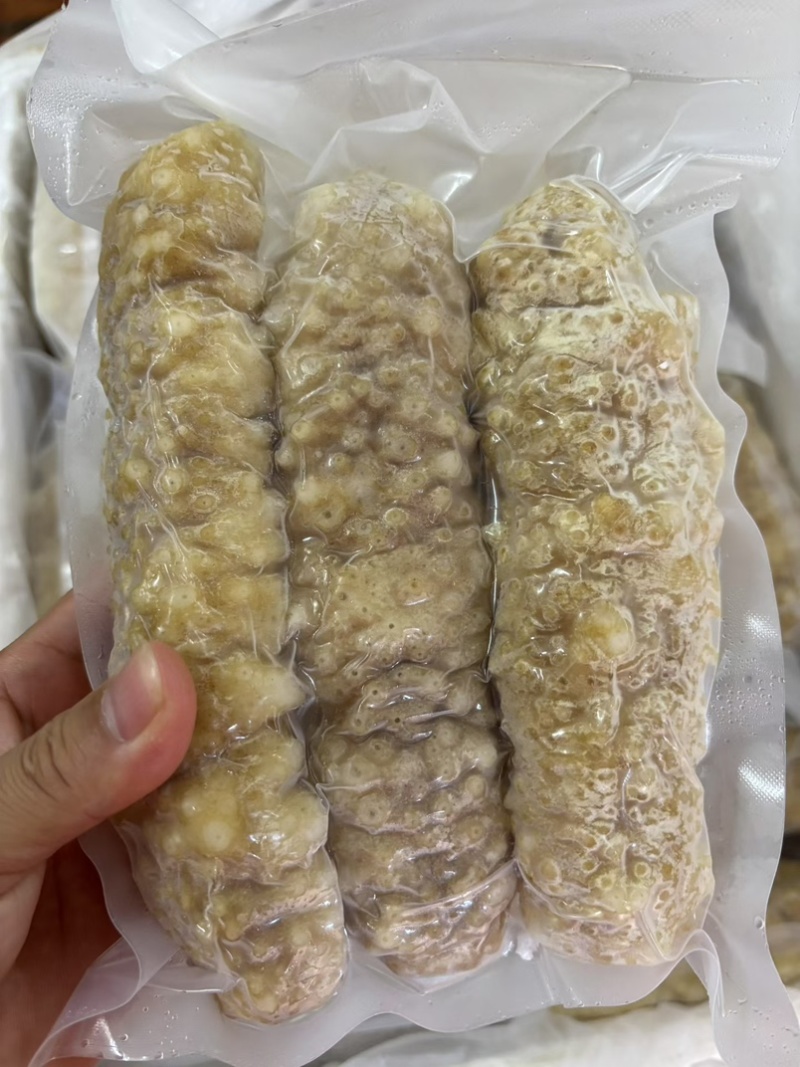 高质量黄玉参