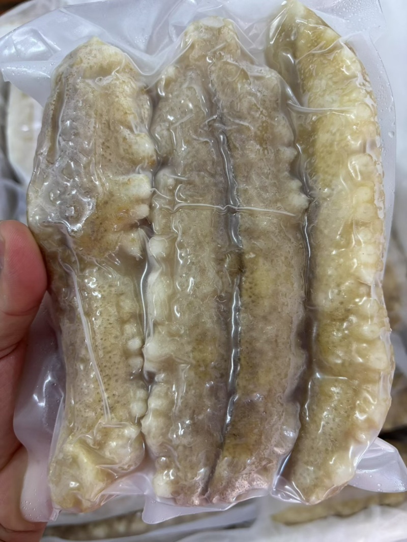 高质量黄玉参
