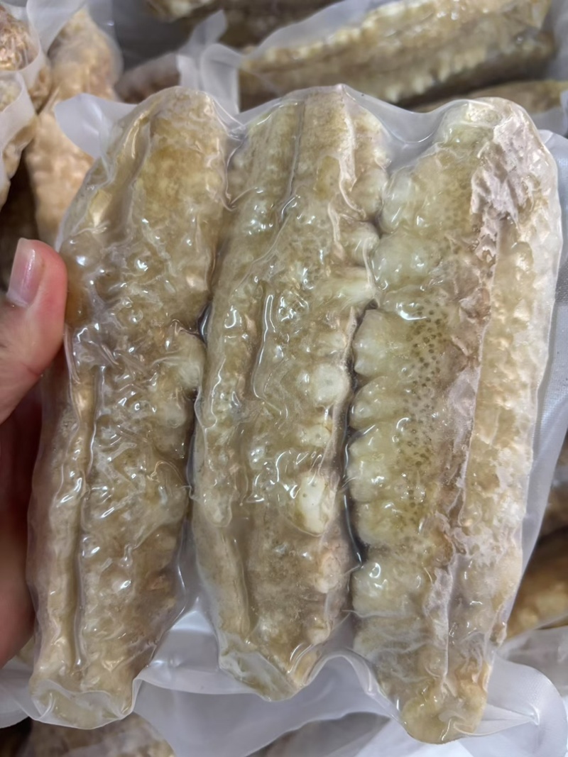 高质量黄玉参