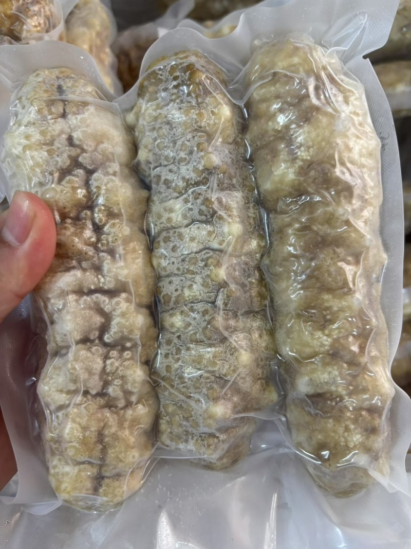 高质量黄玉参