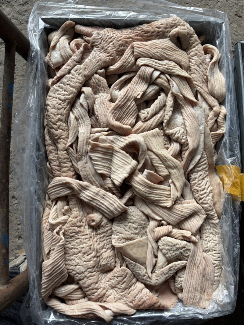 牛大肠