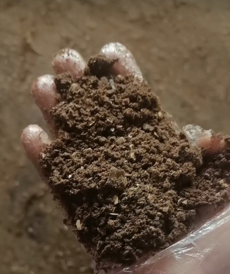 毛蛋粉肉粉，烘干毛蛋粉