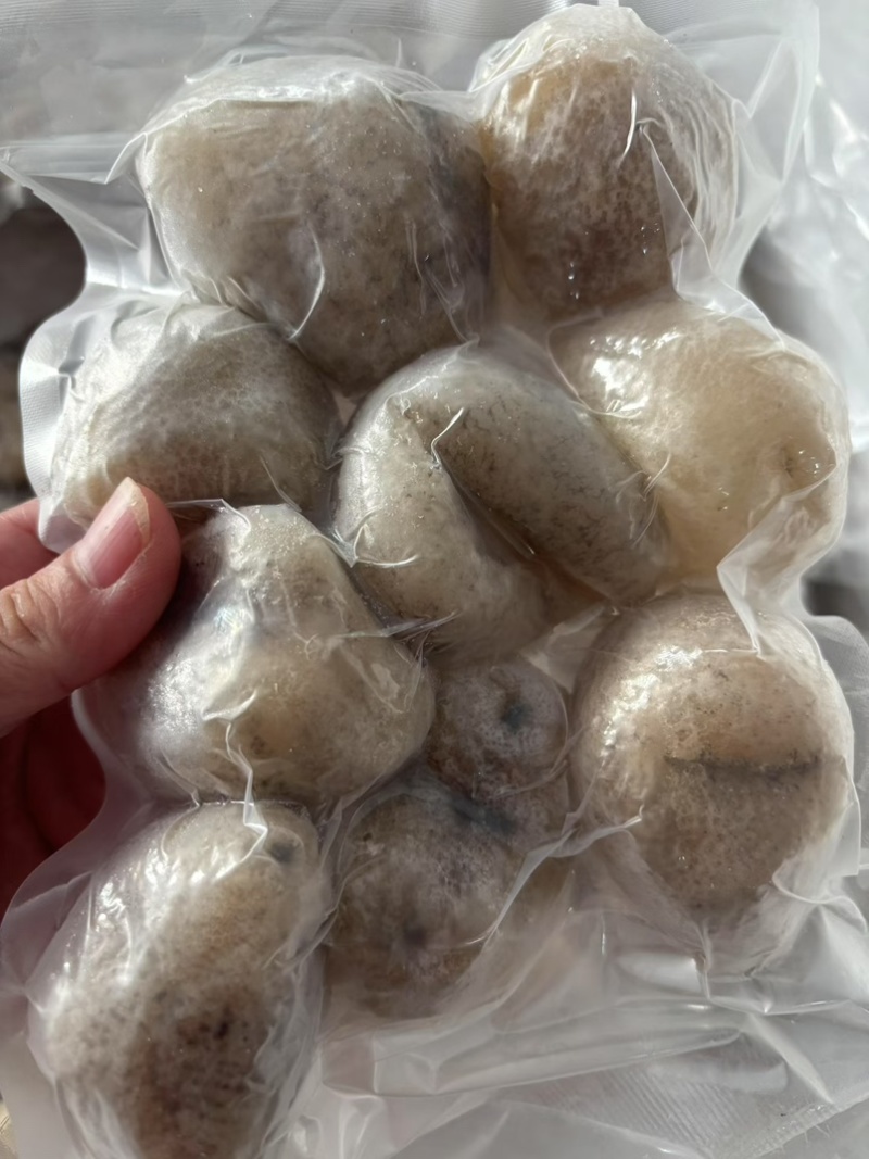 珍珠球参规格齐全厂家直销