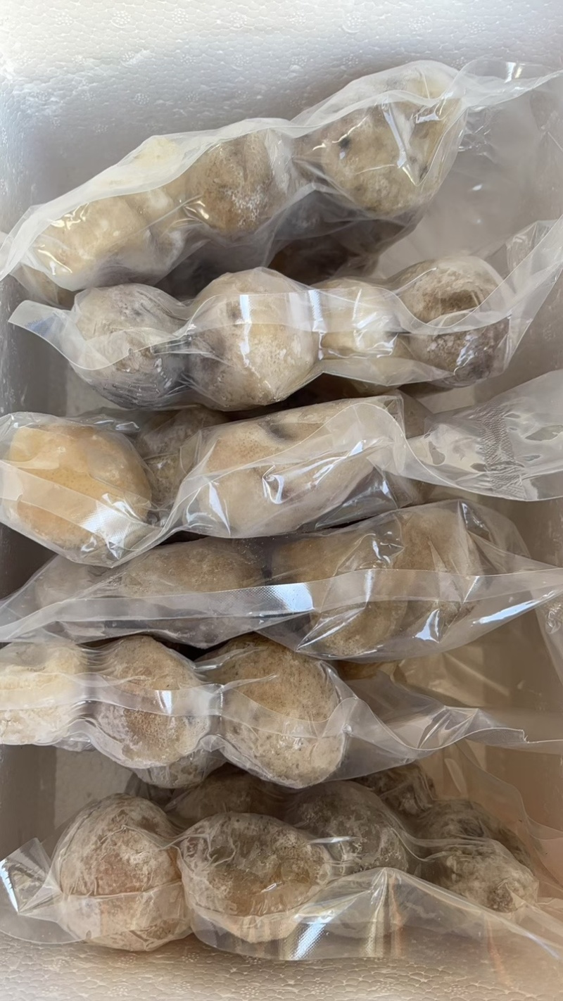 珍珠球参规格齐全厂家直销
