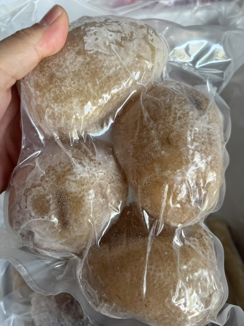 珍珠球参规格齐全厂家直销