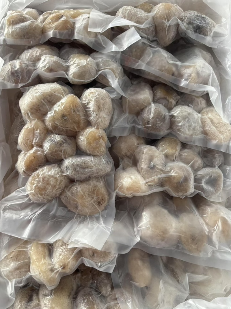 珍珠球参规格齐全厂家直销