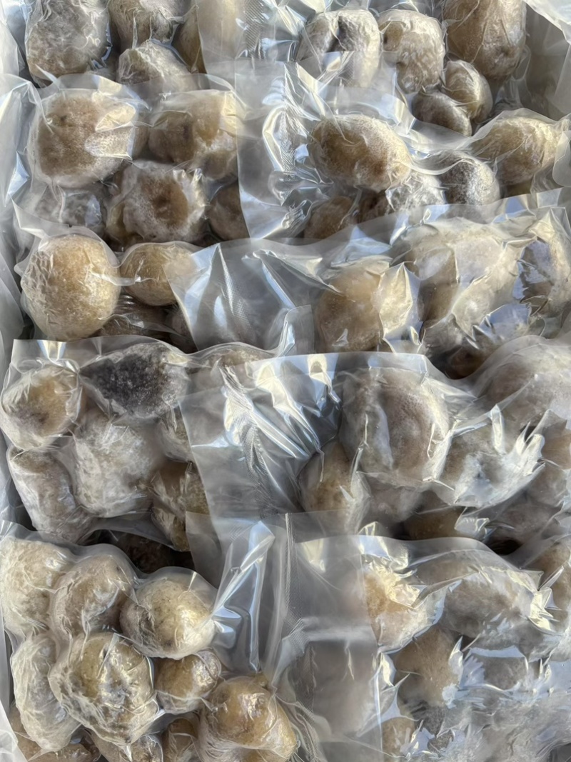 珍珠球参规格齐全厂家直销