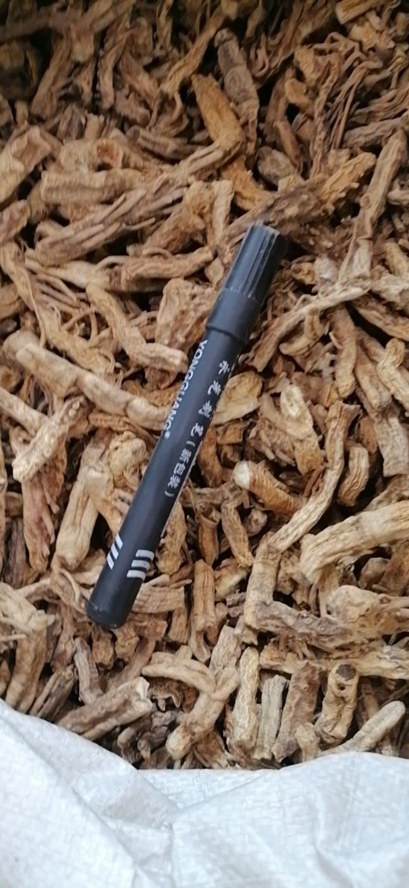 光知母知母