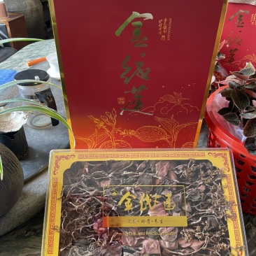 红霞金线莲开花干品种植户直发价格优惠欢迎下单品尝