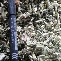 益母草