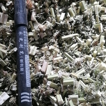 益母草