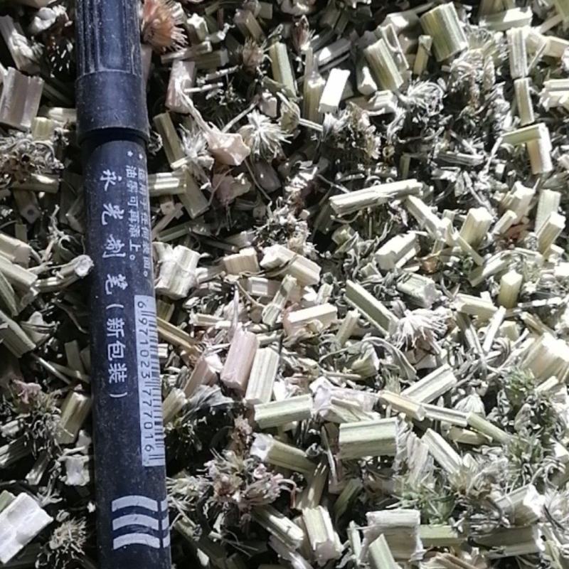 益母草