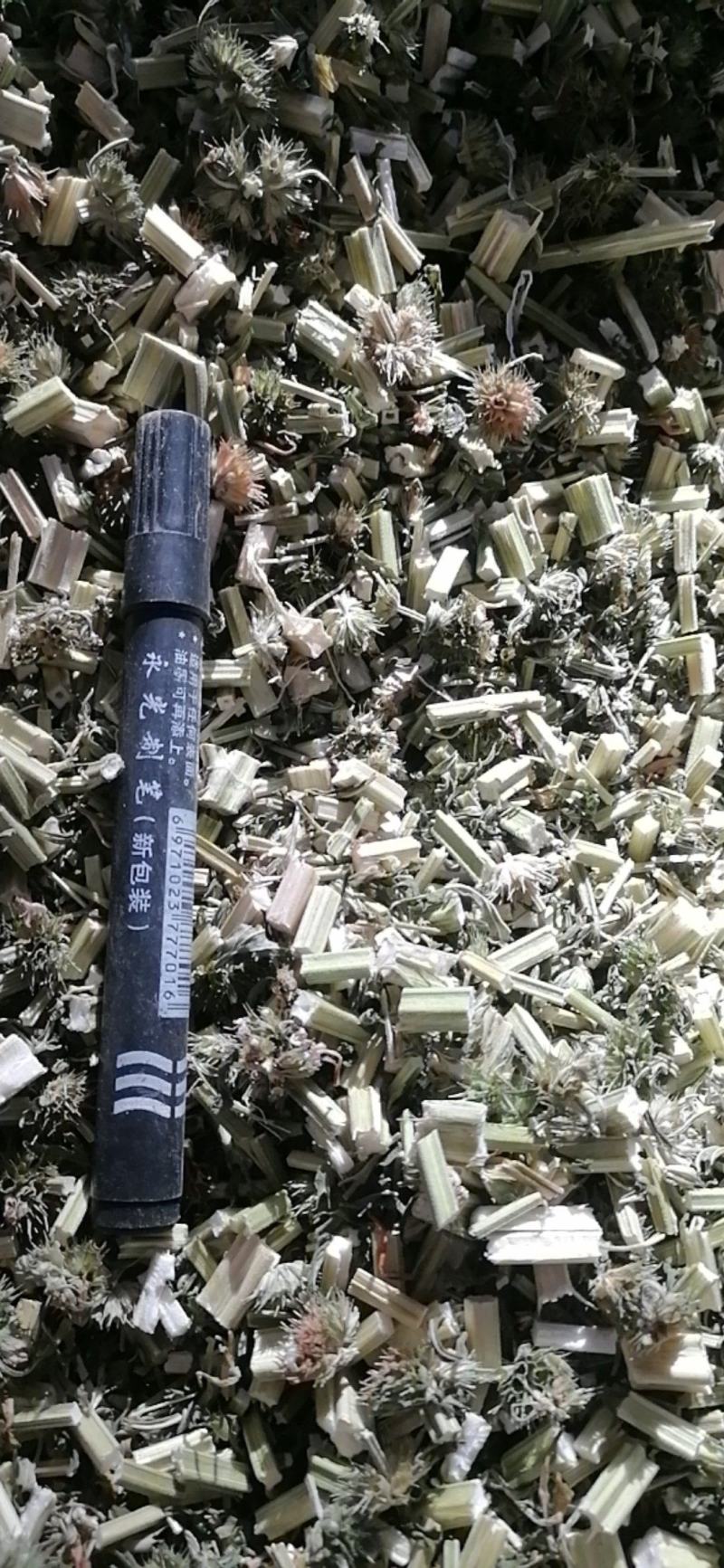 益母草