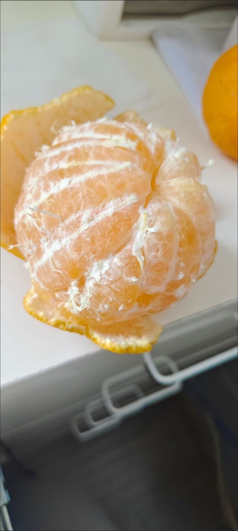 丑橘！丑八怪，新鲜橘子，现摘现发！保鲜发货，包邮到家！