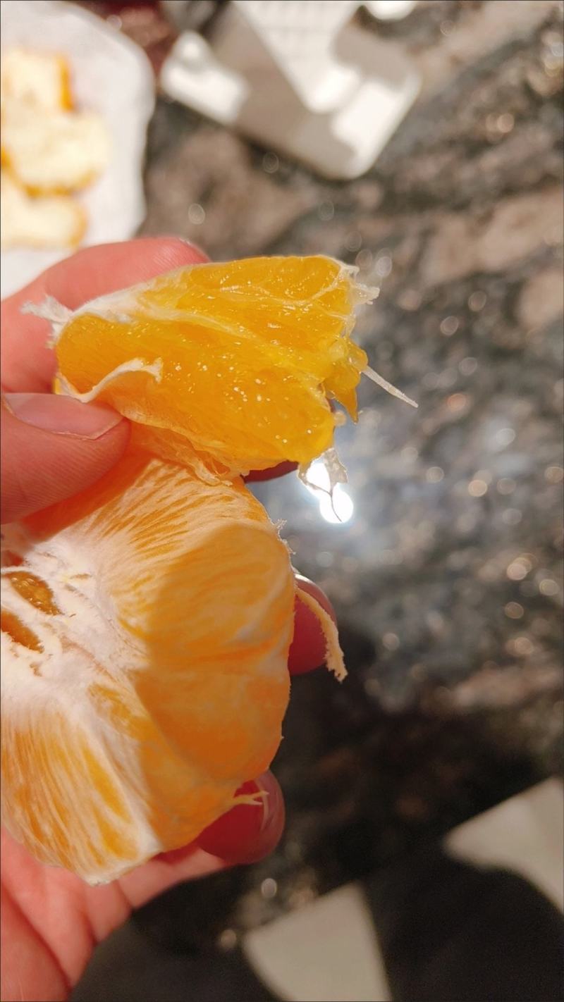 丑橘！丑八怪，新鲜橘子，现摘现发！保鲜发货，包邮到家！