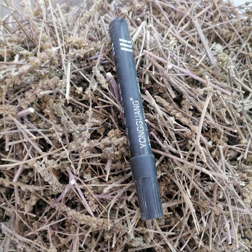 荆芥全荆芥荆芥穗