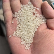 东北珍珠米50公斤白包量小大单勿扰
