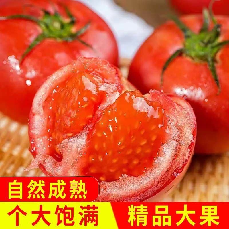 山东本地种植西红柿，自然红熟，全国各地销售，欢迎咨询