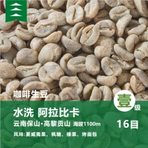 阿拉比卡豆16目水洗