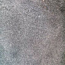大葱子大葱籽