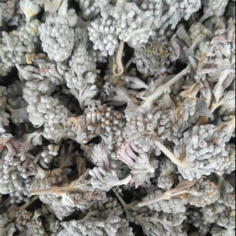密蒙花