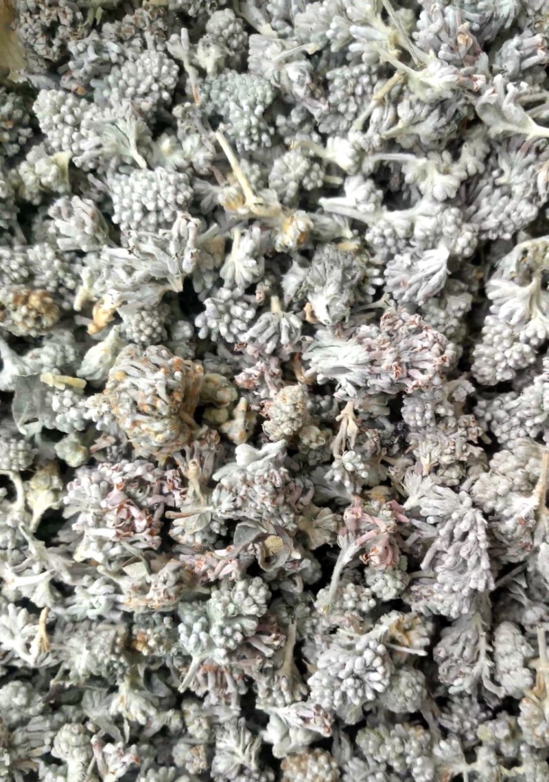 密蒙花