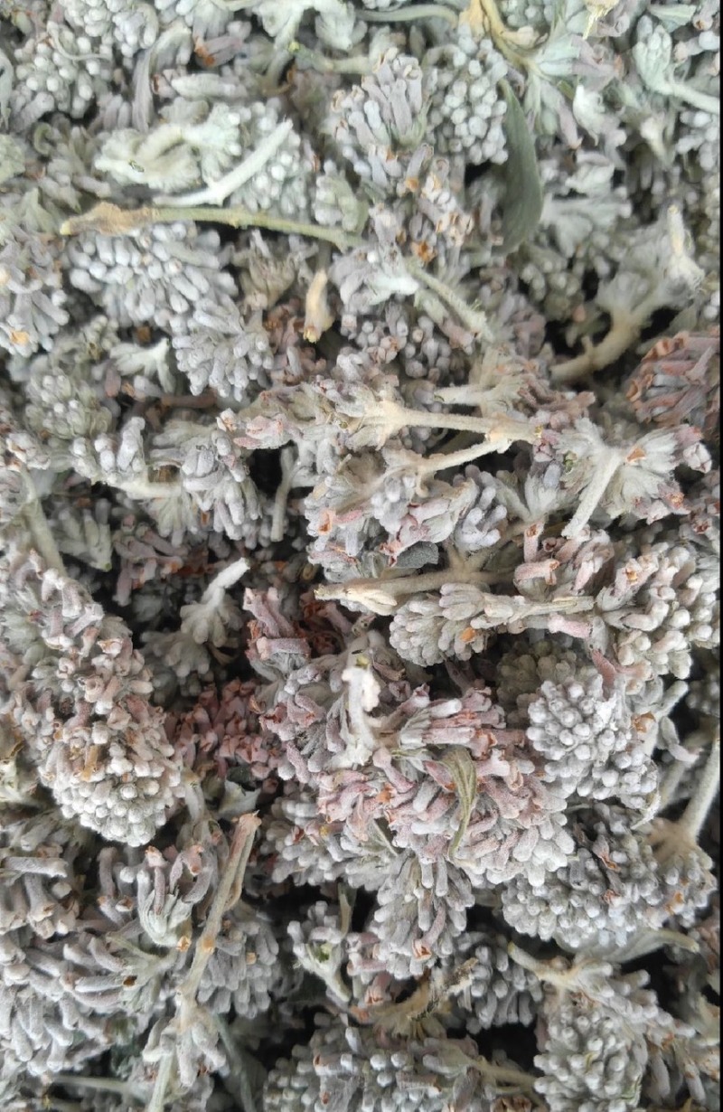 密蒙花
