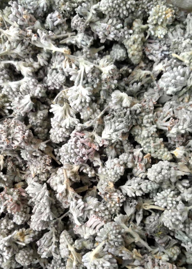 密蒙花