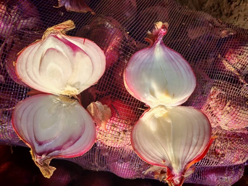产地直销红葱圆葱货源海量