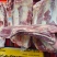 腹肉牛排