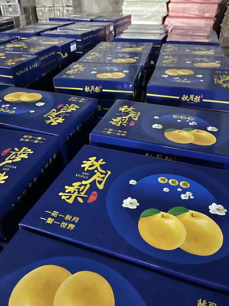 礼盒秋月梨！秋月梨！