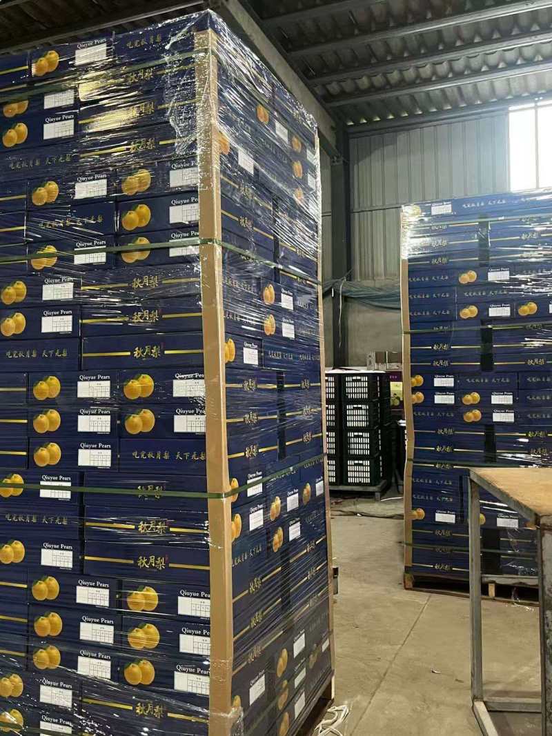礼盒秋月梨！秋月梨！