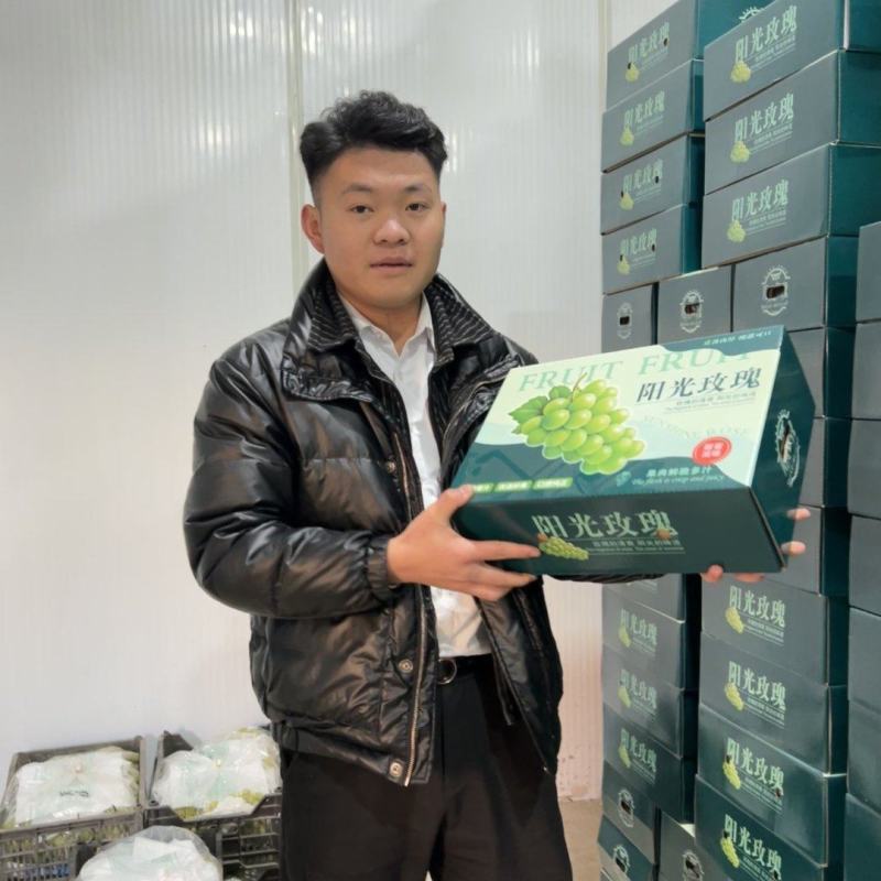 阳光玫瑰礼盒大量供应，保质保量产地直供一手货源