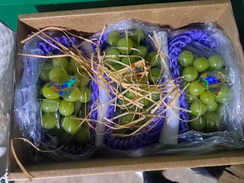 阳光玫瑰礼盒大量供应，保质保量产地直供一手货源
