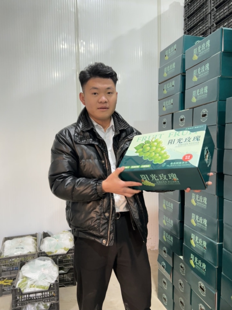 阳光玫瑰礼盒大量供应，保质保量产地直供一手货源
